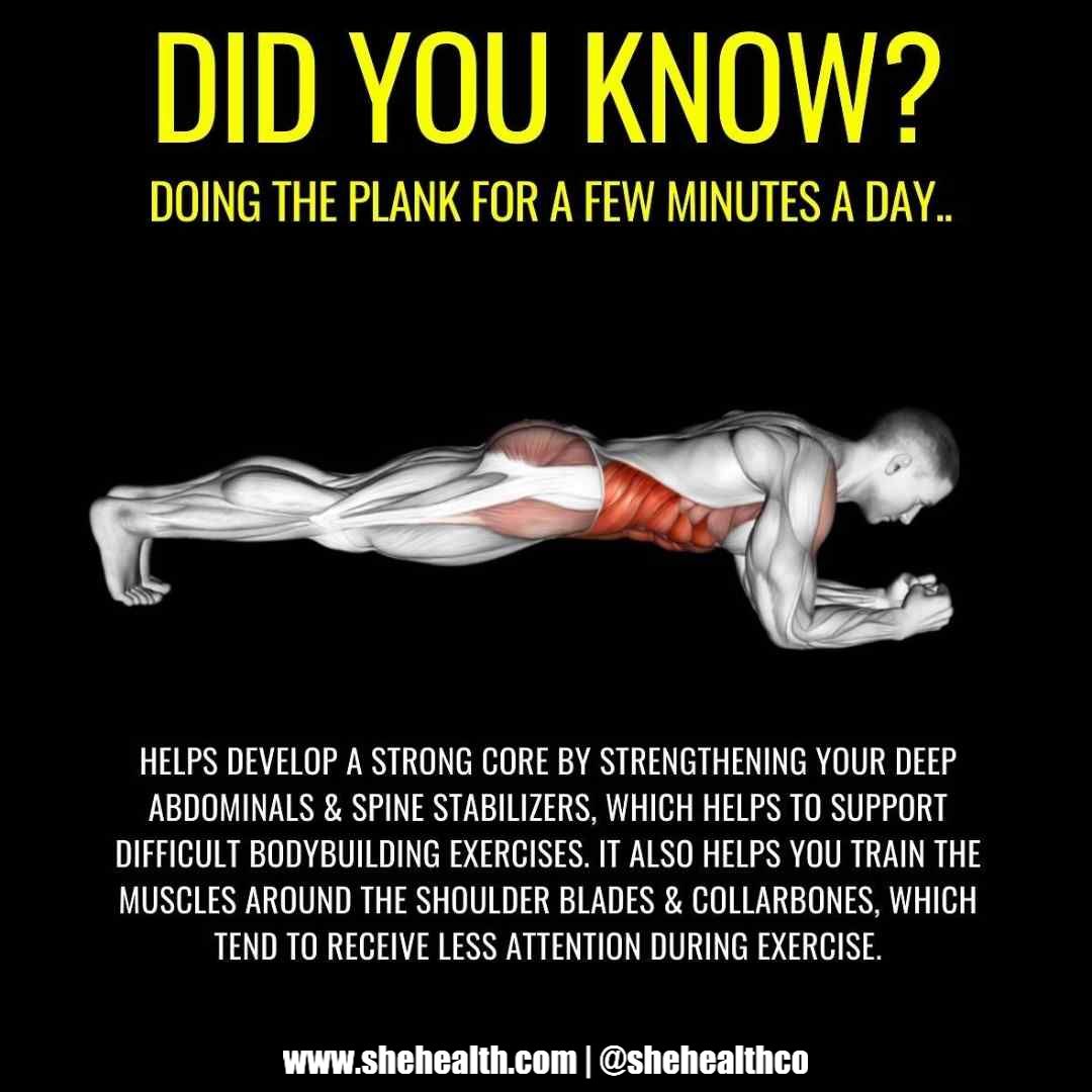 Plank Your Way to a Stronger Core and Better Posture